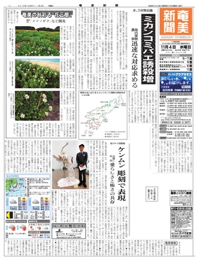 表紙画像
