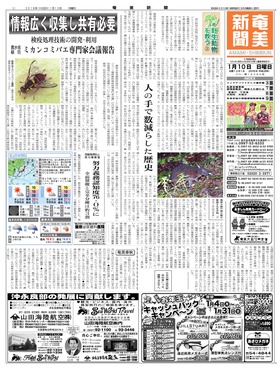 表紙画像