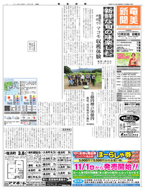 表紙画像