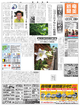 表紙画像