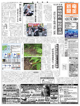 表紙画像
