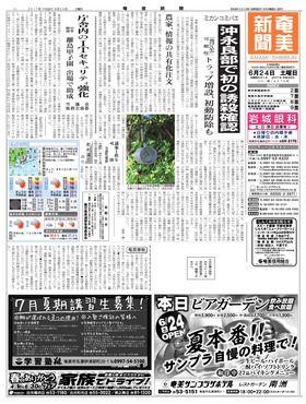 表紙画像