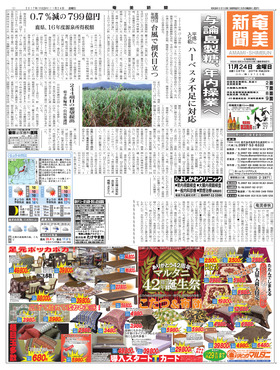 表紙画像