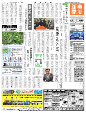 表紙画像