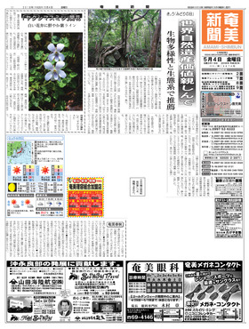 表紙画像