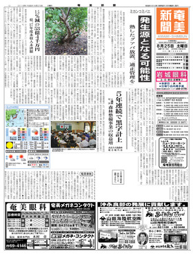 表紙画像