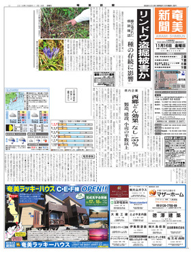 表紙画像