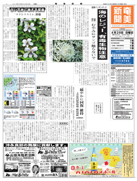 表紙画像