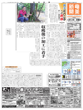 表紙画像