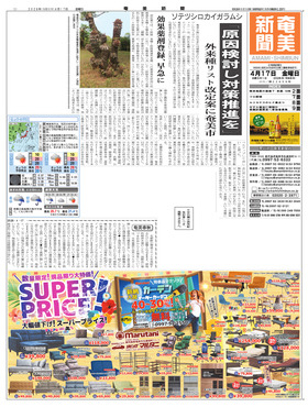 表紙画像
