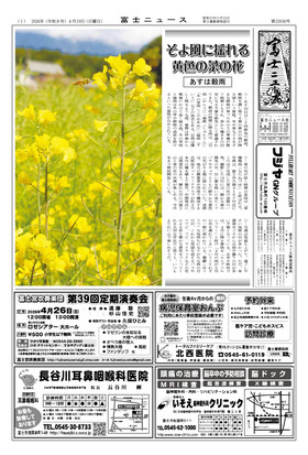 表紙画像