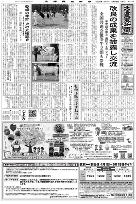 表紙画像