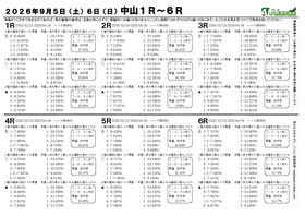 電子版
