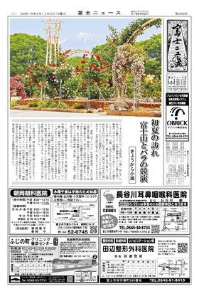 表紙画像