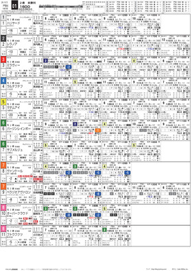 電子版