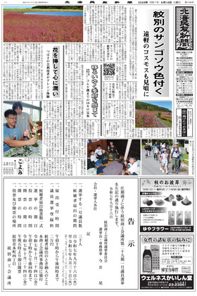 表紙画像