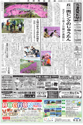 表紙画像