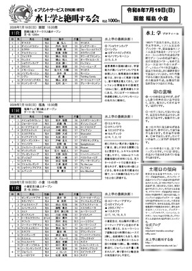 電子版