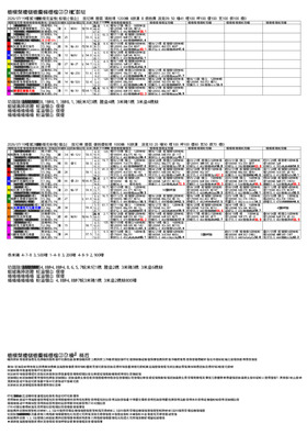 電子版