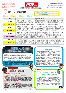 電子版