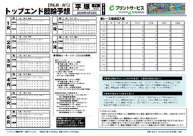 電子版