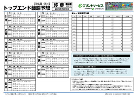 電子版