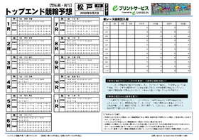 電子版