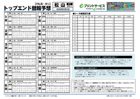 電子版