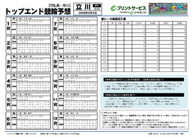 電子版