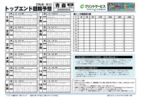 電子版